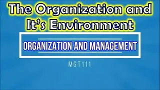 Chapter 3 - The Organization and It's Environment (Organization and Management)