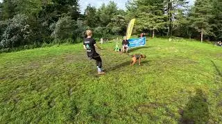 Cani X Pembrey 5km with Kilo the Hungarian Vizsla