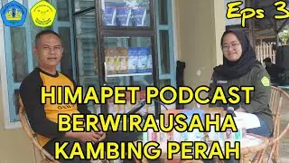 Himapet Podcast | Episode 3 Berwirausaha Kambing Perah