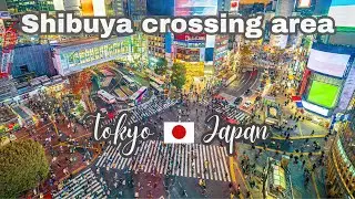 Tokyo Shibuya Scramble Square - Shibuya crossing tokyo japan - Shibuya Scramble Crossing Night