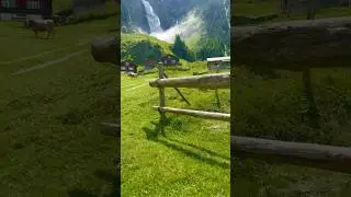 Untouched nature in the Swiss Alps. #switzerland #naturelovers #swissbeauty
