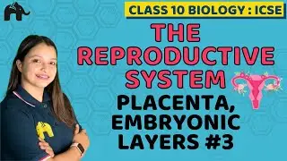 The Reproductive System Class 10 ICSE Biology Chapter 13 | Selina | Placenta,Embryonic Layers #3