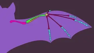 Bat Bones