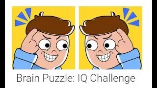 Brain Puzzle IQ Challenge Level 1 to 16