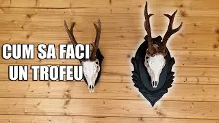 CUM SA FACI UN TROFEU DE CAPRIOR!!!! HOW TO CLEAN A DEER SKULL!!!