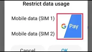 Gpay || Google Pay Restrict Data Usage Problem Solve || Internet Data Problem