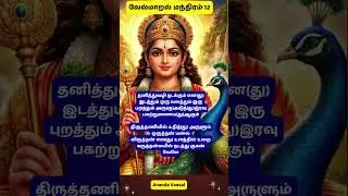வேல்மாறல் 12 Vel Maaral மிக சக்தி வாய்ந்த முருகனின் அருள் மந்திரம் #velmaral#devotional