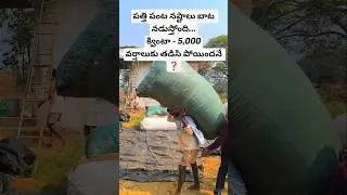 తెల్లబంగారం🌱నల్లబడింది😭క్వింటా రూ5,000 కే తీసుకున్నారు #shortsfeed #shorts  #villagelife #trending 🌱