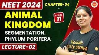 ANIMAL KINGDOM Class 11 Biology - L2 | Segmentation Phylum Porifera | Sponges | NEET 2024/25 Biology