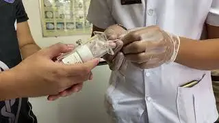 ВЕТЕРИНАРНАЯ ФАРМАЦЕВТИКА 1 | Работа с мышами и способы введения лекарственных препаратов | (3A-G6)
