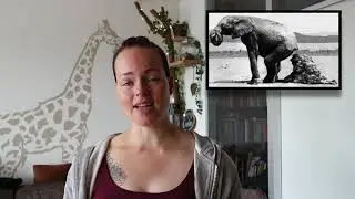 Thema 1 (Wat is biologie) BS1: Levend dood levenloos