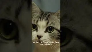 What if Cats Took the Subway? 🚇🐱 | Funny AI Short