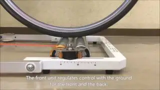GT-Roller Q1.1 (English)2
