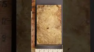 D1704 Musical Billet Burl Myrtlewood Lumber