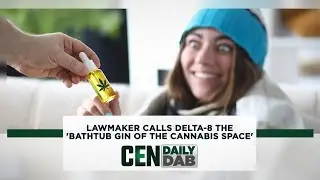 Lawmaker Calls Delta-8 the 'Bathtub Gin of the Cannabis Space'