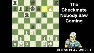 He Blundered the Game in the Most UNBELIEVABLE Way #chess #chessplayworld 