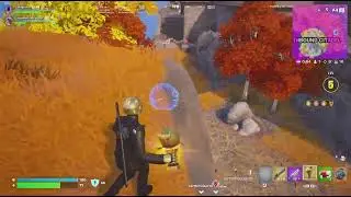 sword vs gold fish