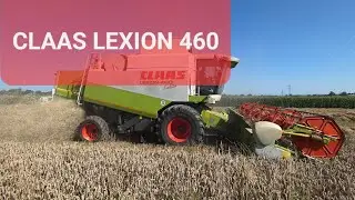 CLAAS LEXION 460 Evolution Zbiera pszenicę cz.1 4K zostaw subskrypcję pozdrawiam zbieram do 1000