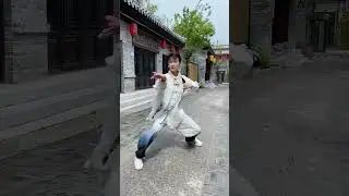 Focus on inner spiritual cultivation and physical transformation.#taichi #shorts  #kungfu #wushu