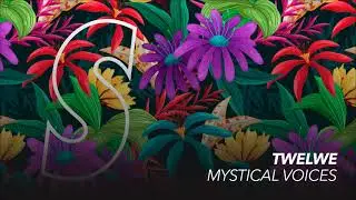 Twelwe, Carlo Minuta - Mystical Voices (Official Video)