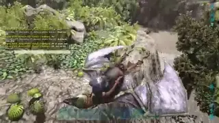 LIVE!(Ps4) Ark : TRIBE WARS