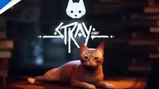 Ich spiele Stray die Katze🥰🥰☺️