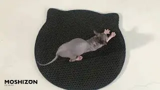 Moshizon Double Layer Cat Litter Mat