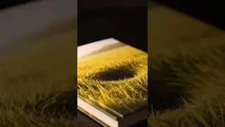 Magical BookWhich one is your favorite?#asmr#decompress#funexperiment#extremelycomfortable#ai#trend