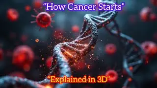 How Cancer Starts | 3D Animated Explanation for Students | Cell Mutation & Tumor Formation Explained