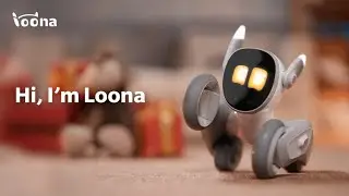 Kickstarter: Meet Loona, The most Intelligent Petbot