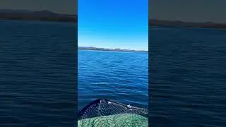 👍🎣🐟 #рыбалка #2024 #fishing #russia #фразы #lake #beautiful #nature #шашки #automobile #урал