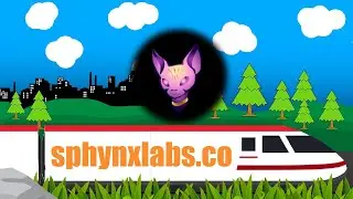 // Sphynx Labs // Комплексное решение для торговли, фермерства, стейкинга и хранения \\ CryptoExpress \\