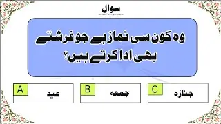 Top Islamic Question And Answer | Urdu Quiz | Islamic Paheliyan | Islamic Knowledge Quiz |