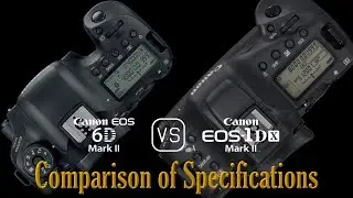 Canon EOS 6D Mark II vs. Canon EOS-1D X Mark II: A Comparison of Specifications