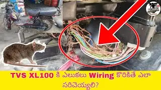 Tvs XL100 Wiring Rats Problem Solution In Telugu||Kadthal Village Bike Mechanic