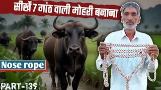 Rope halter for calf,cow, buffalo.etc..// 7 गांठ वाली मोहरी! 