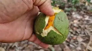 Valorize a natureza