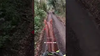 Safety inspector Max has one dedicated brain cell just for traffic. #horse #equestrian #road #gopro