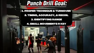 Boxing Reaction Drill | Catch & Punch Training for Timing & Accuracy