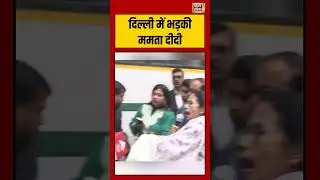 Mamta Didi gets angry in Delhi #shorts #viralvideo #viralnews #mamatabanerjee #sir