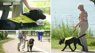 CNIB Volunteer Stories | Meet Jeannie A Puppy Boarder