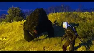 Witcher 3: Bear Fight [1080P HD]
