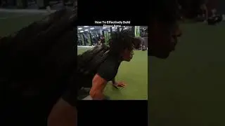 How To Effectively Build Bigger Arms