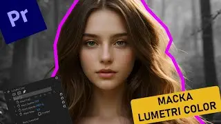 Lumetri Color Mask in Premiere Pro