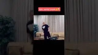 Epic spider 🕷️ Prank #spiderprank #epicprank #shorts by PrankTok