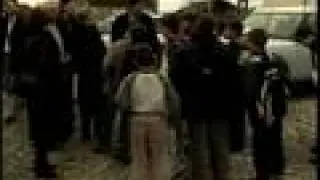 Serbian village of Dobrotin in Kosovo receives MEPs