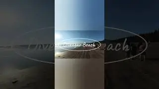 Beachside Bliss: Diveagar Escape