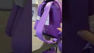 Purple Wall Loungefly Bag at Magic Kingdom 🤩