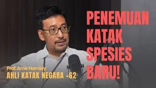 Menelusuri Herpetofauna Indonesia, Jejak Spesies Katak Baru | BRIN TALKSHOW