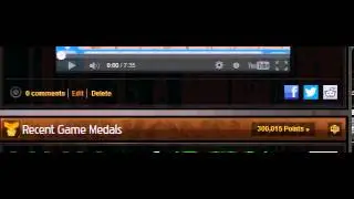 300,000 Newgrounds Medal Points